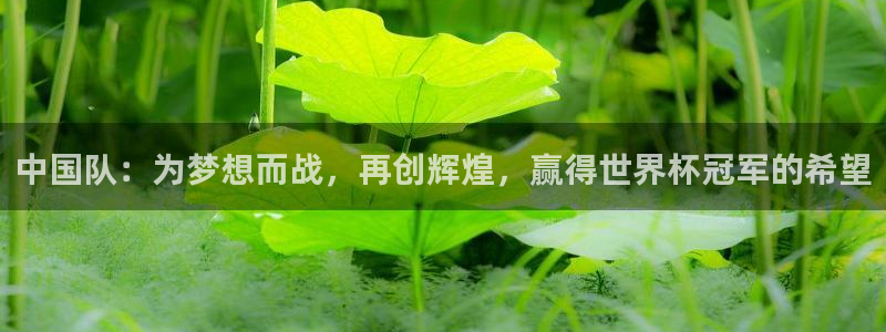 预选赛世界杯:中国队:为梦想而战,再创辉煌,赢得世界杯冠军的希望