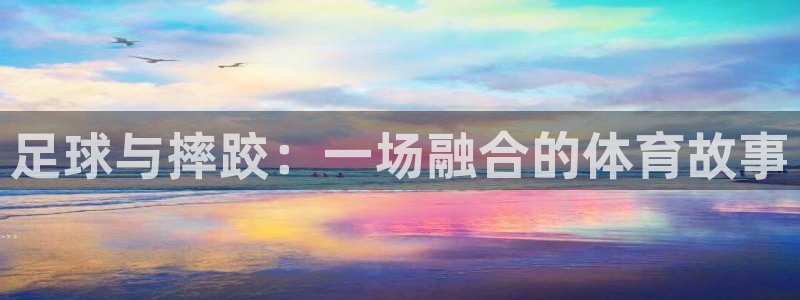 2006年世界杯冠军:足球与摔跤:一场融合的体育故事