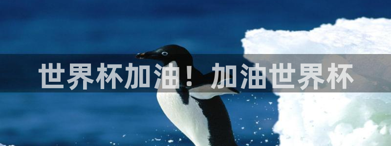 世界杯球队:世界杯加油!加油世界杯