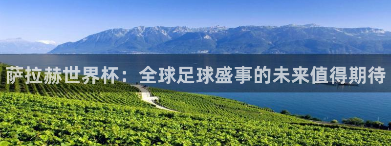 2026世预赛赛程:萨拉赫世界杯:全球足球盛事的未来值得期待