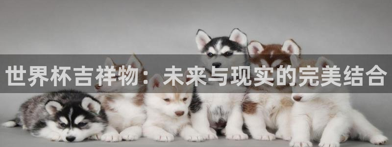 2026世界杯德国队阵容:世界杯吉祥物:未来与现实的完美结合