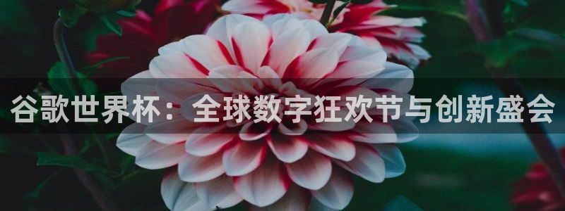 世界杯 直播:谷歌世界杯:全球数字狂欢节与创新盛会