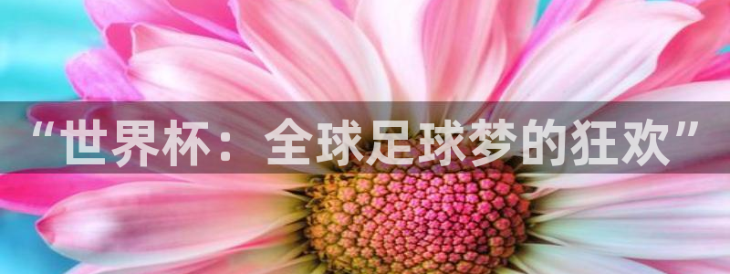 世界杯2026赛程表:“世界杯:全球足球梦的狂欢”
