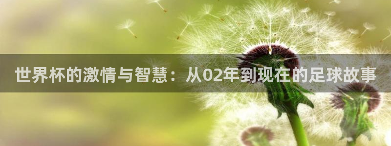 亚洲杯比赛直播:世界杯的激情与智慧:从02年到现在的足球故事